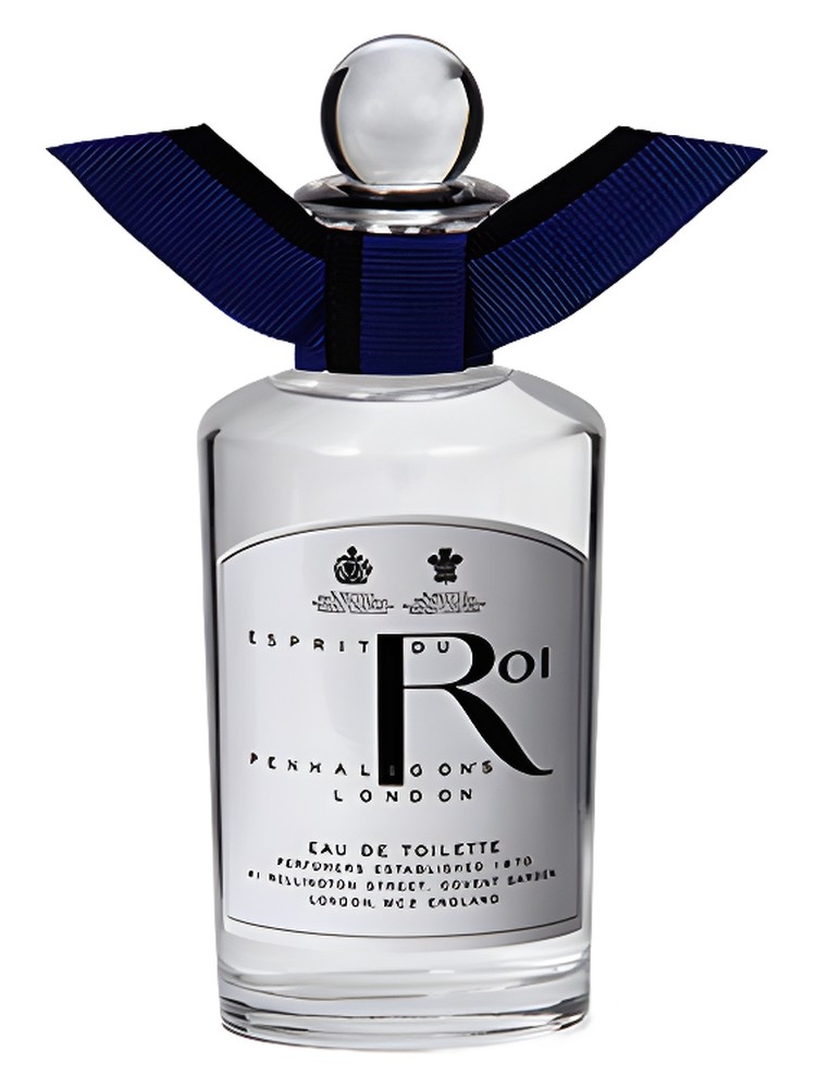 Esprit du Roi