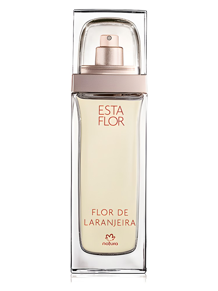 Esta Flor Flor de Laranjeira