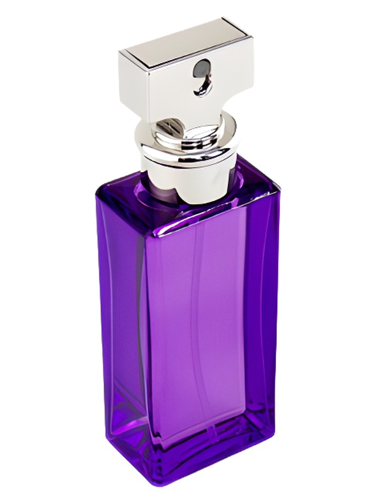 Eternity Purple Orchid