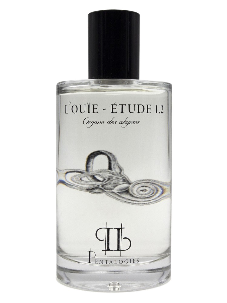 Etude 1.2: L’Ouïe