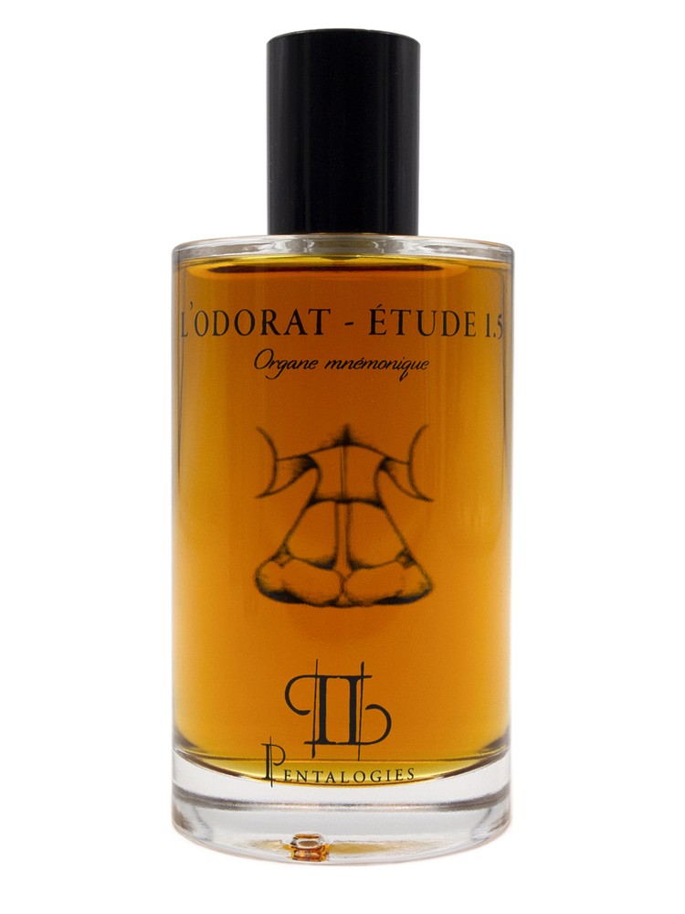 Etude 1.5: L’Odorat