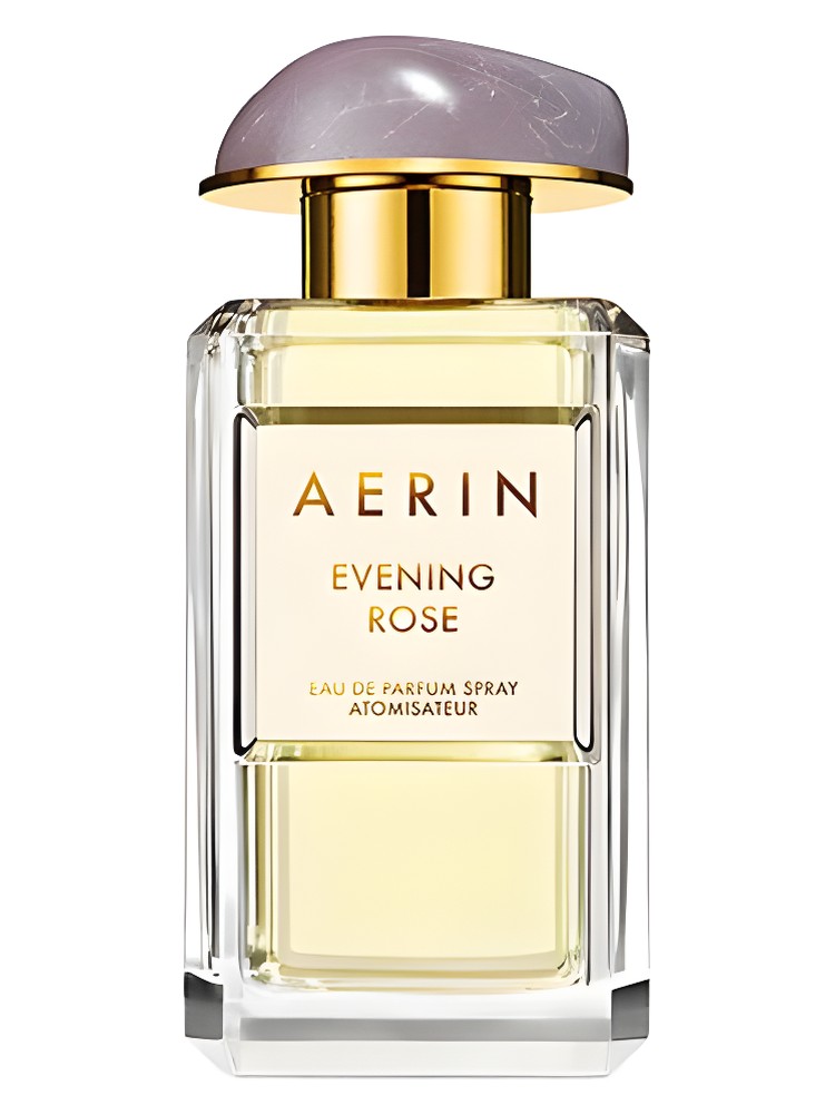 Evening Rose