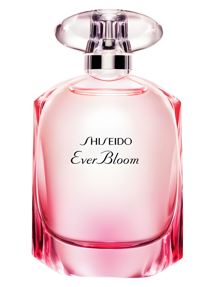 Ever Bloom