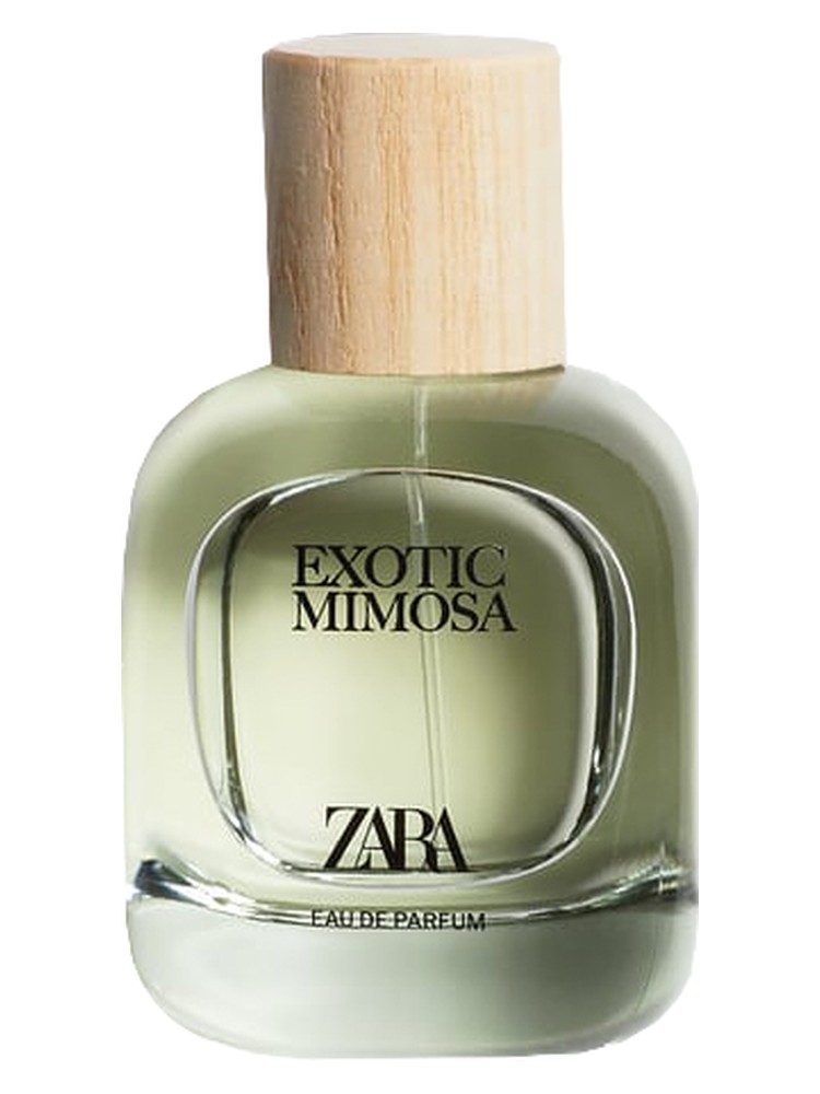 Exotic Mimosa