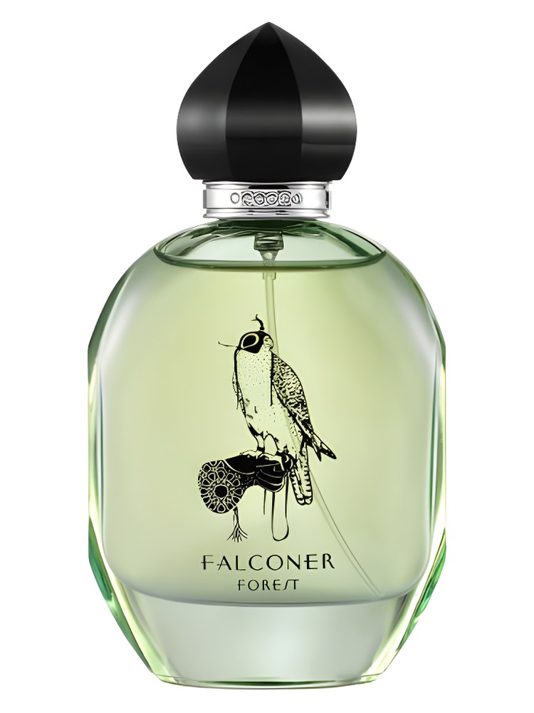 Falconer Forest