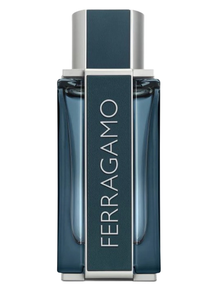 Ferragamo Intense Leather