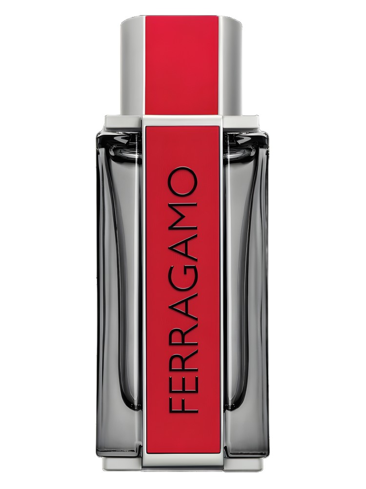 Ferragamo Red Leather
