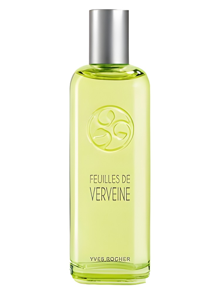 Feuilles de Verveine