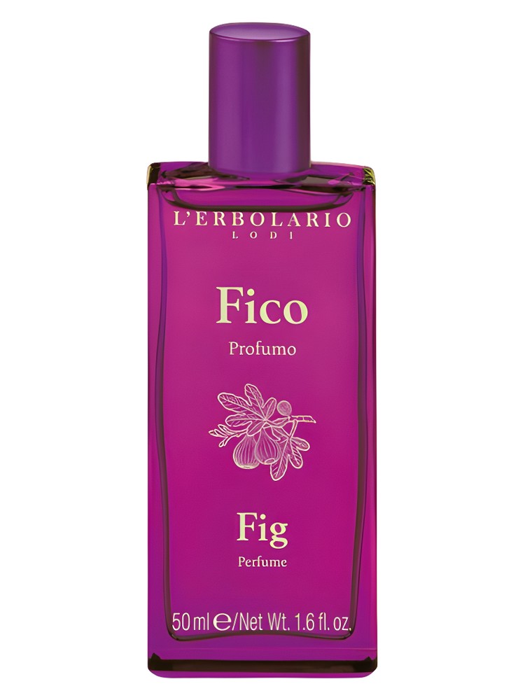 Fico / Fig
