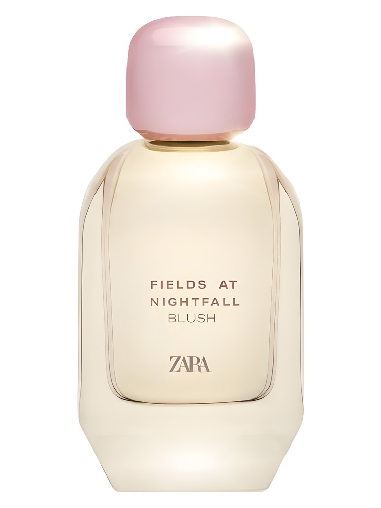 Fields at Nightfall Blush