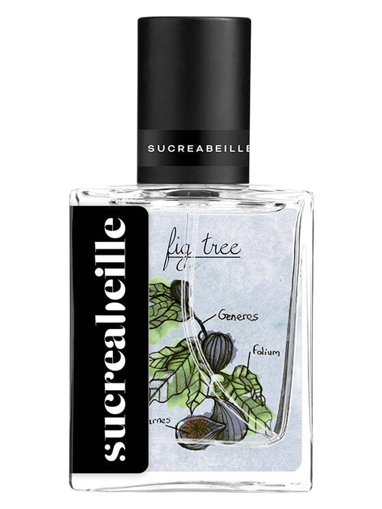 Fig Tree