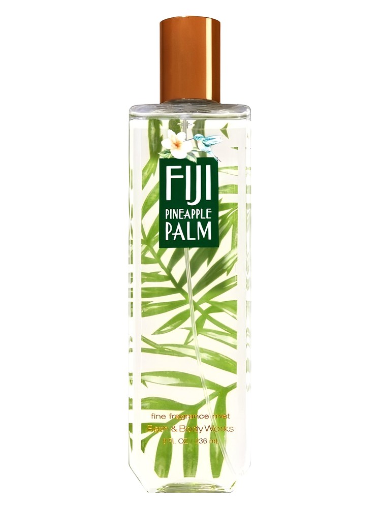Fiji Pineapple Palm