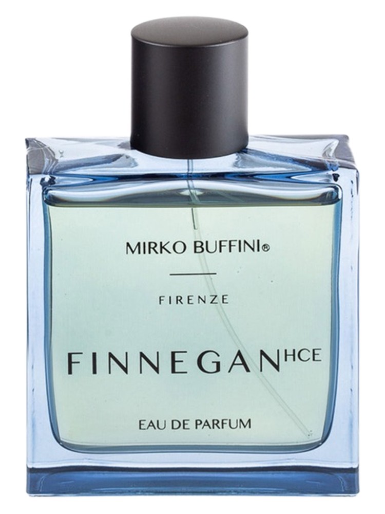 Finnegan HCE