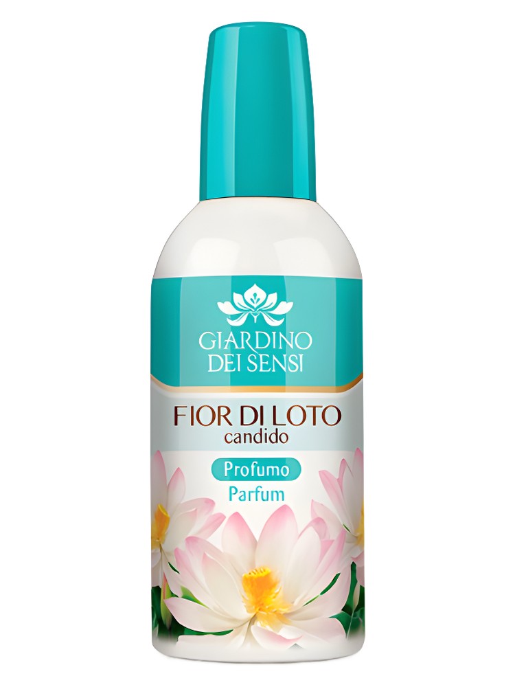 Fior di Loto Candido