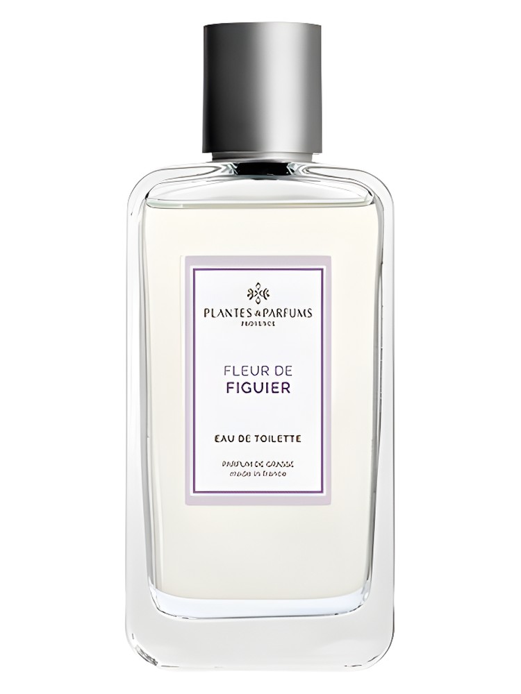 Fleur de Figuier