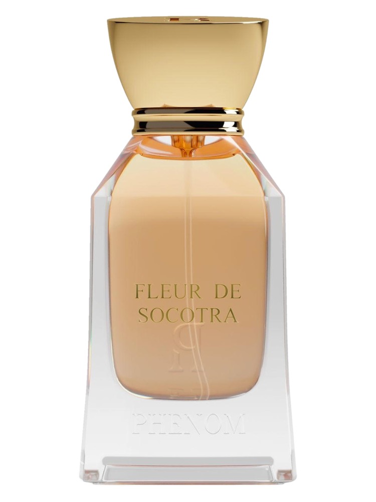 Fleur de Socotra