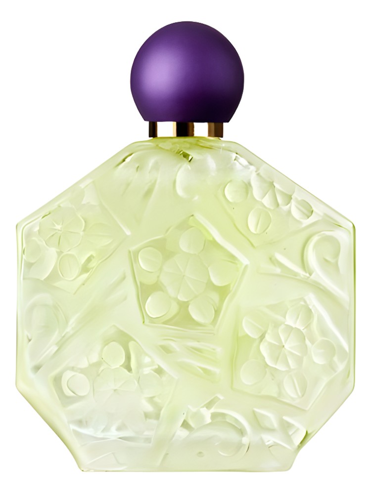 Fleurs d'Ombre/Violette - Menthe