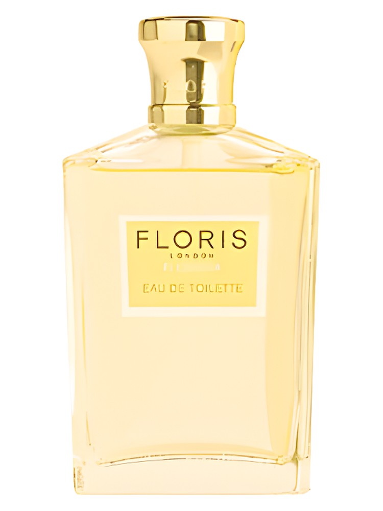 Florissa