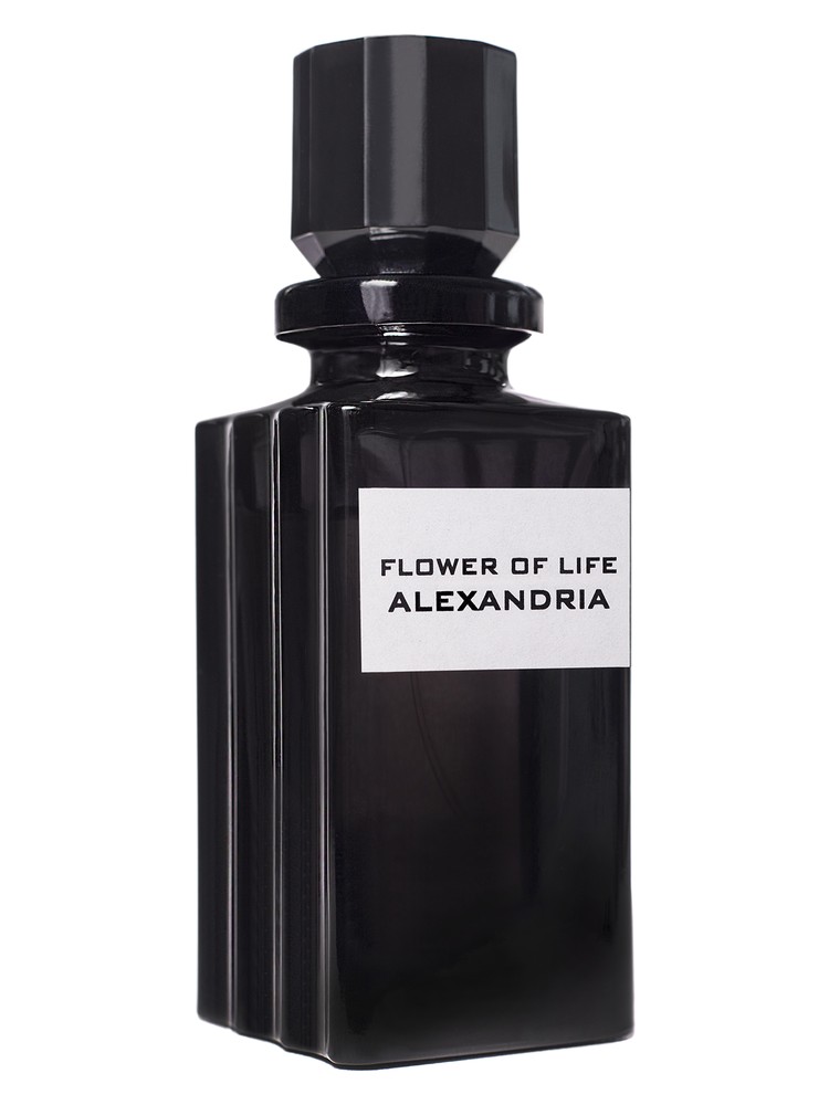 Flower of life Alexandria