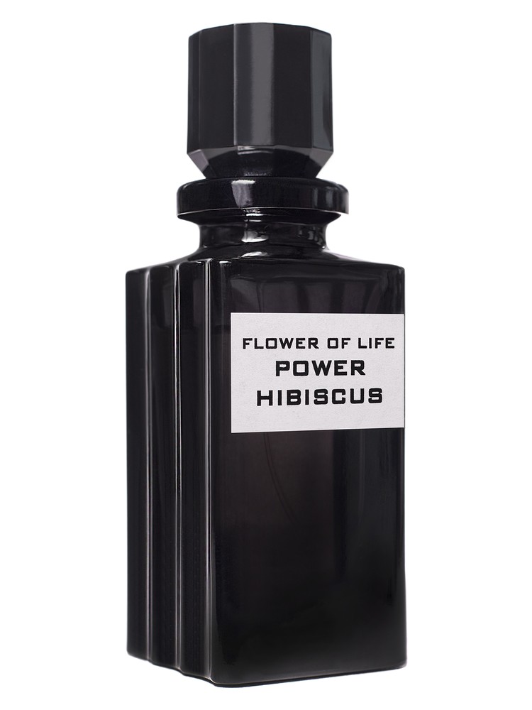 Flower of life Power HIBISCUS