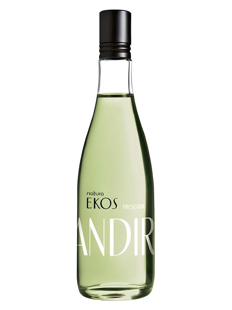 Frescor de Andiroba