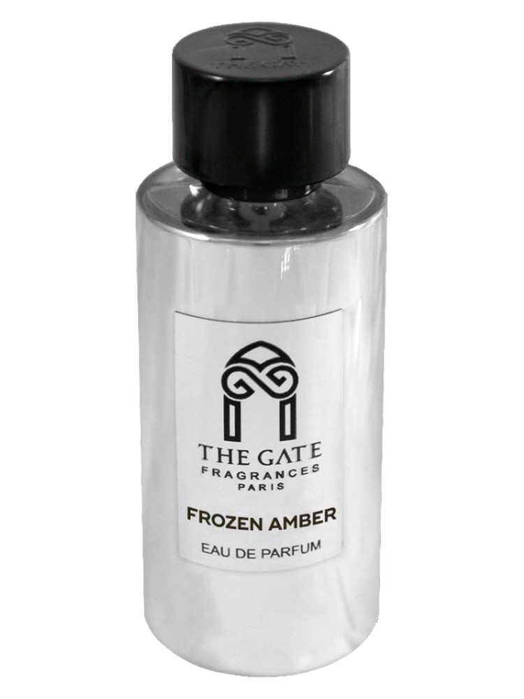 Frozen Amber