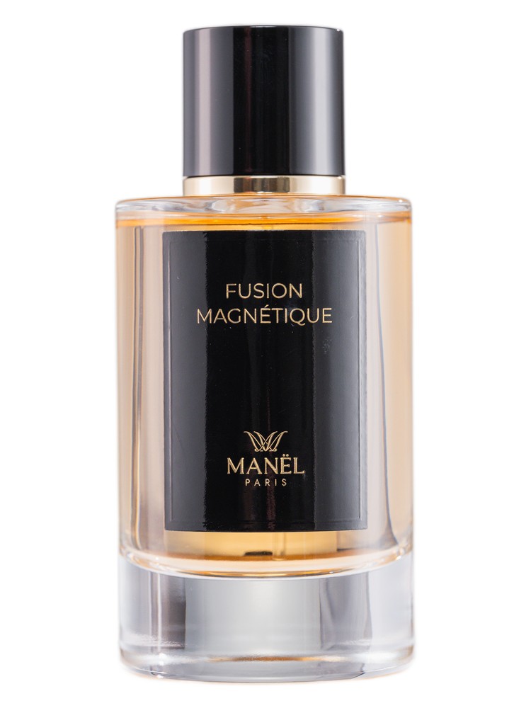 Fusion Magnétique