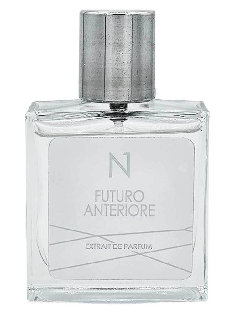 Futuro Anteriore