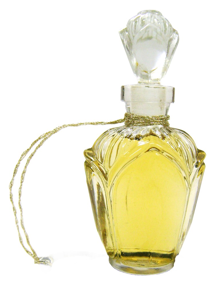 Gardenia