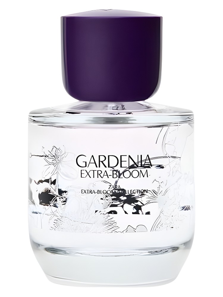 Gardenia Extra-Bloom