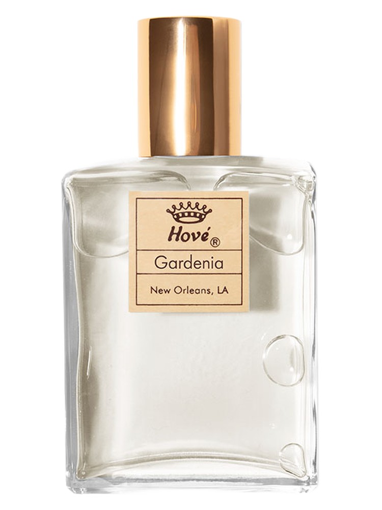 Gardenia