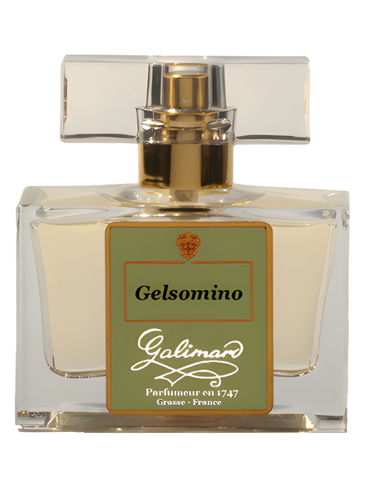 Gelsomino
