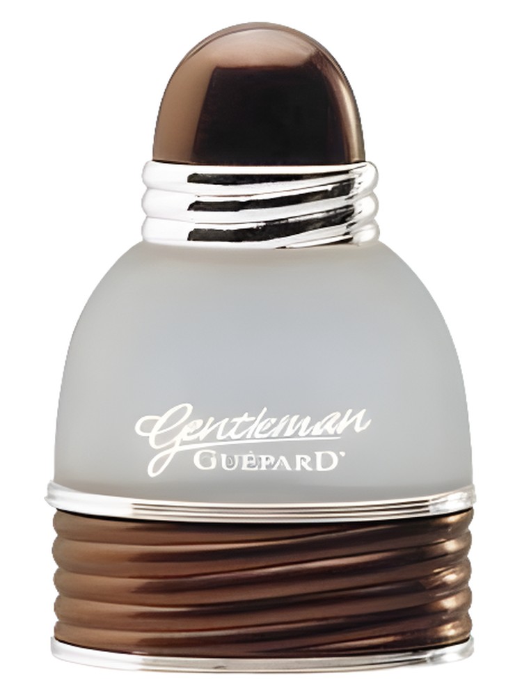 Gentleman Guepard