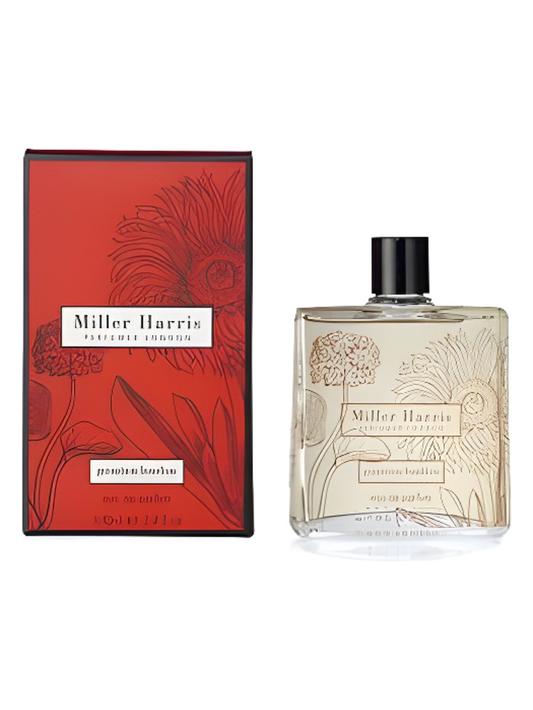 Geranium Bourbon