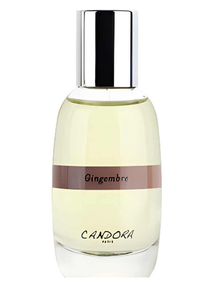 Gingembre