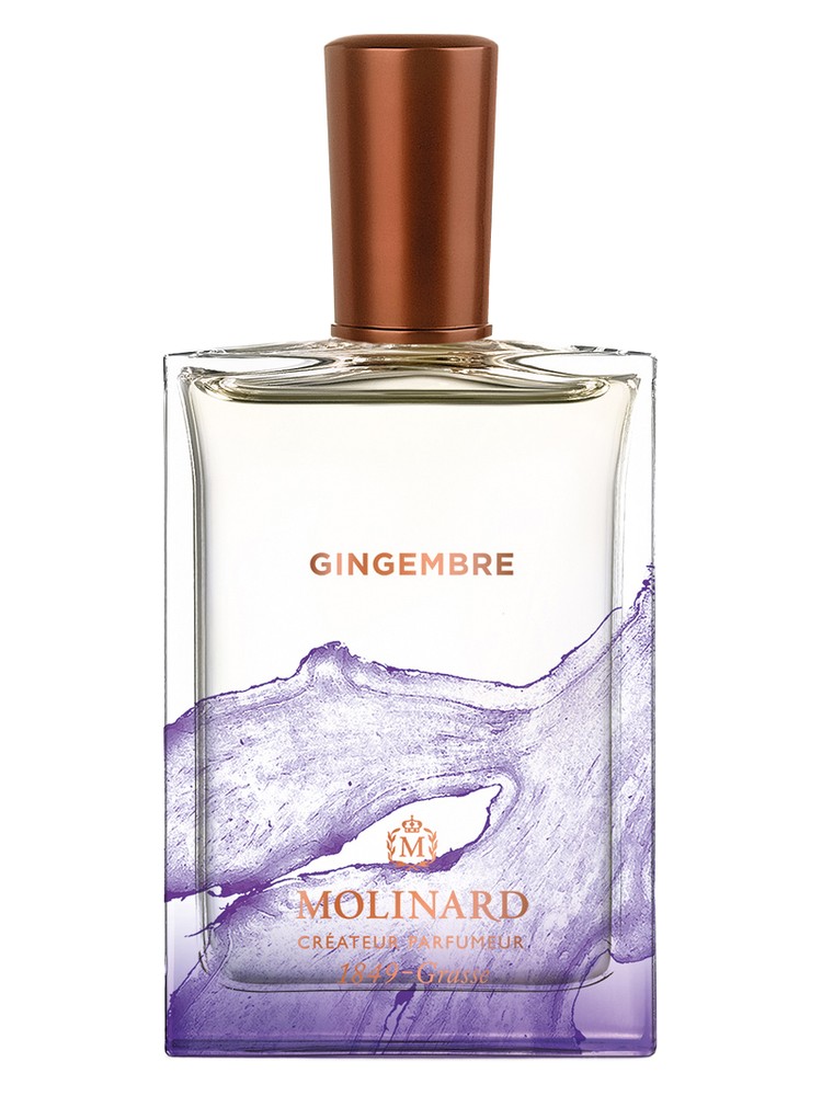 Gingembre