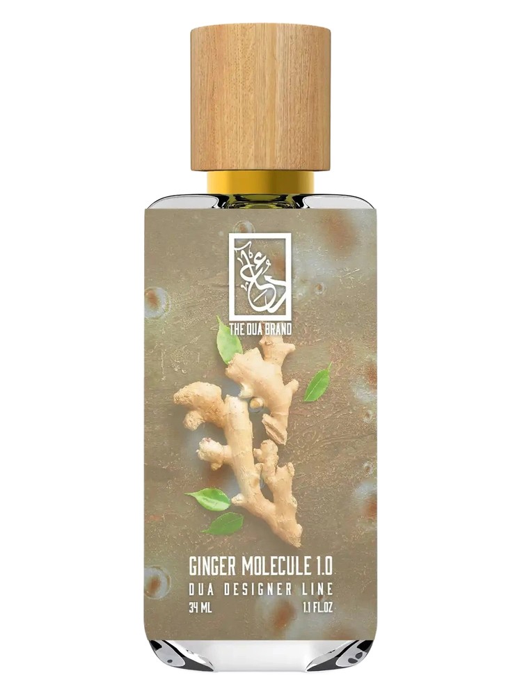 Ginger Molecule 1.0