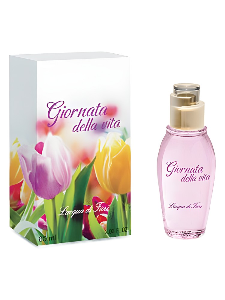 Giornata della Vita