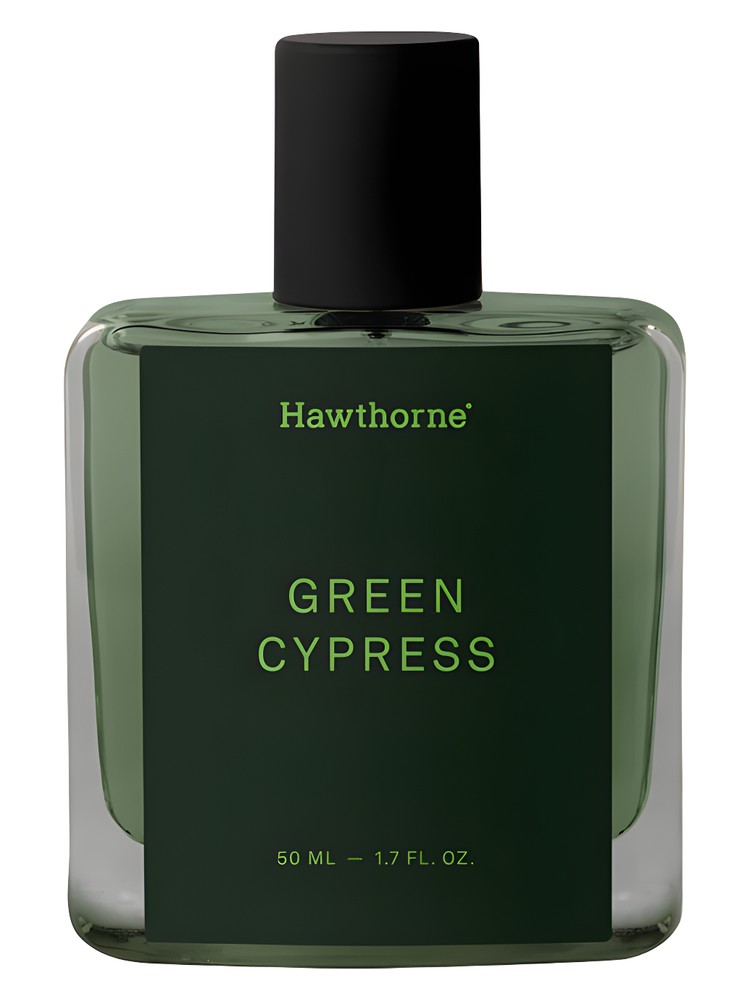Green Cypress
