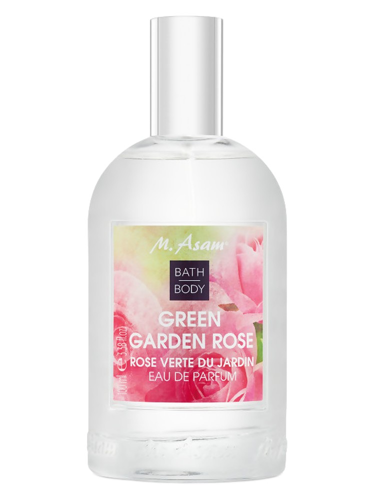 GREEN GARDEN ROSE
