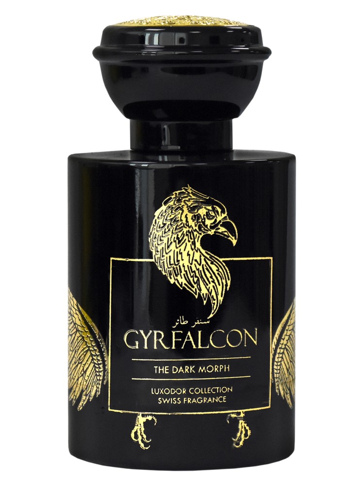 GyrFalcon The Dark Morph