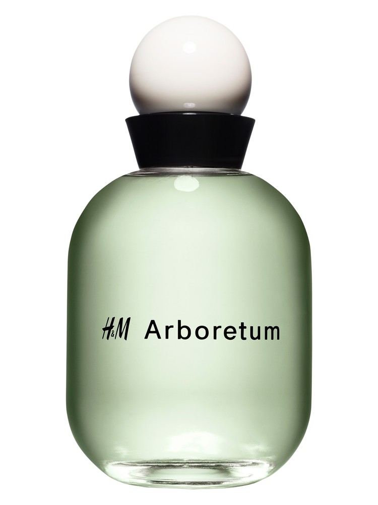 H&M Arboretum