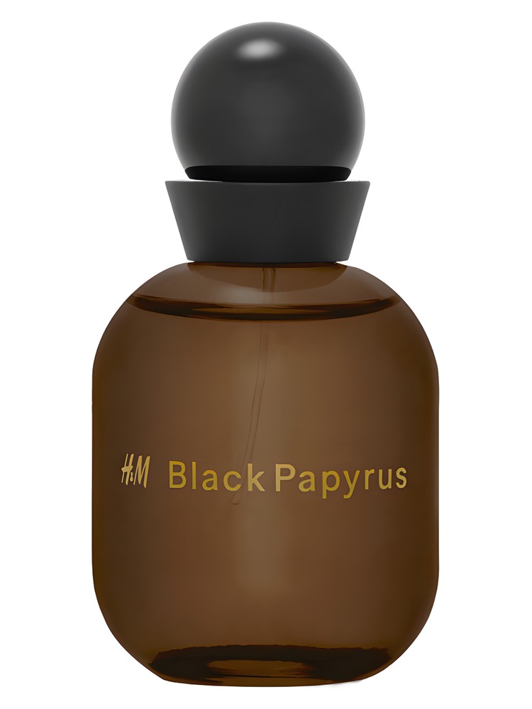 H&M Black Papyrus