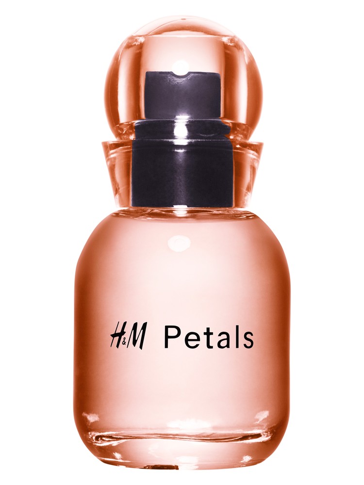 H&M Petals - Fresh Flowers