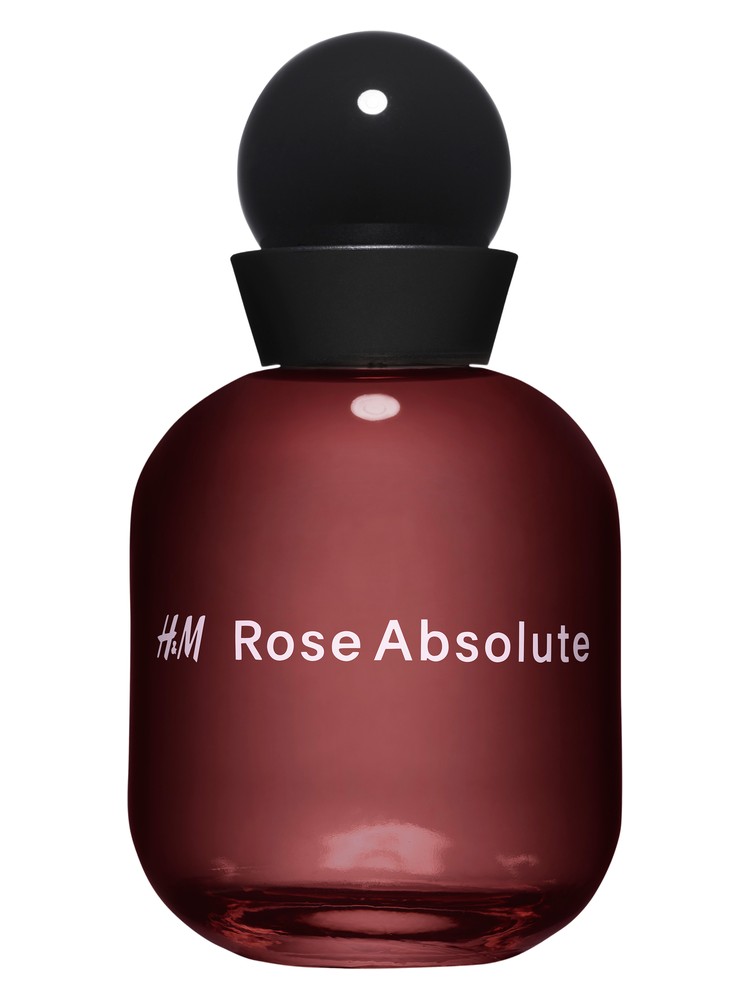 H&M Rose Absolute