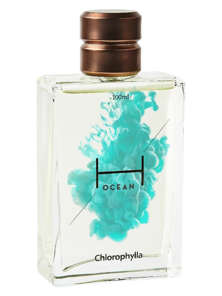 H Ocean