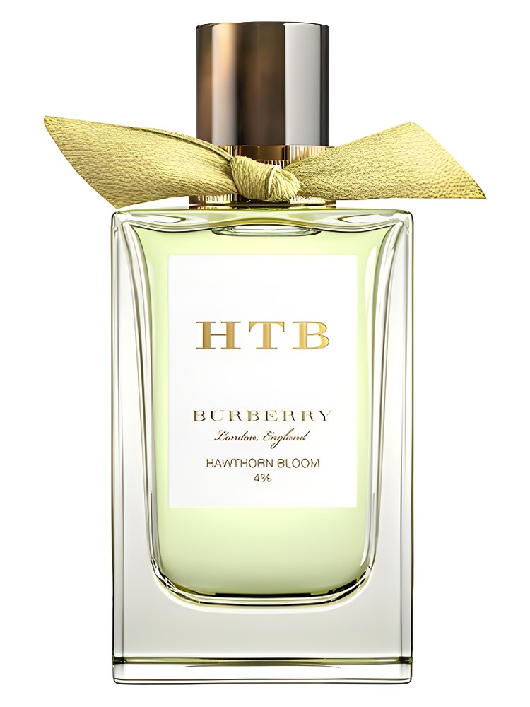 Hawthorn Bloom