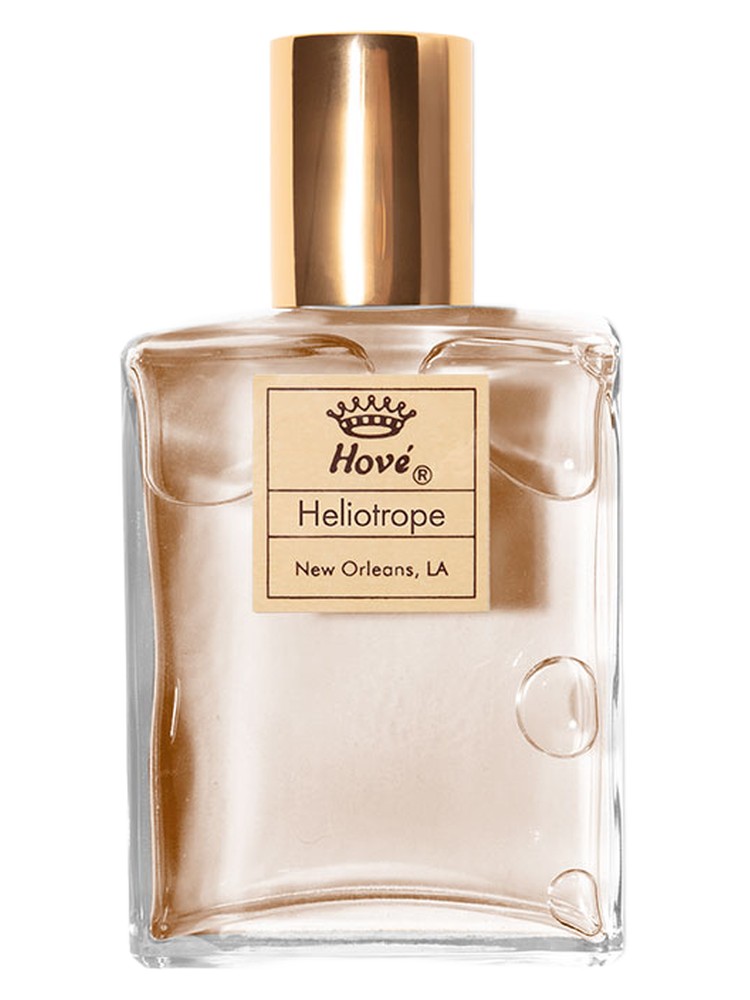 Heliotrope