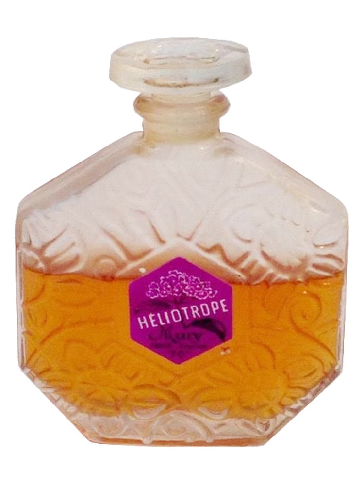 Heliotrope