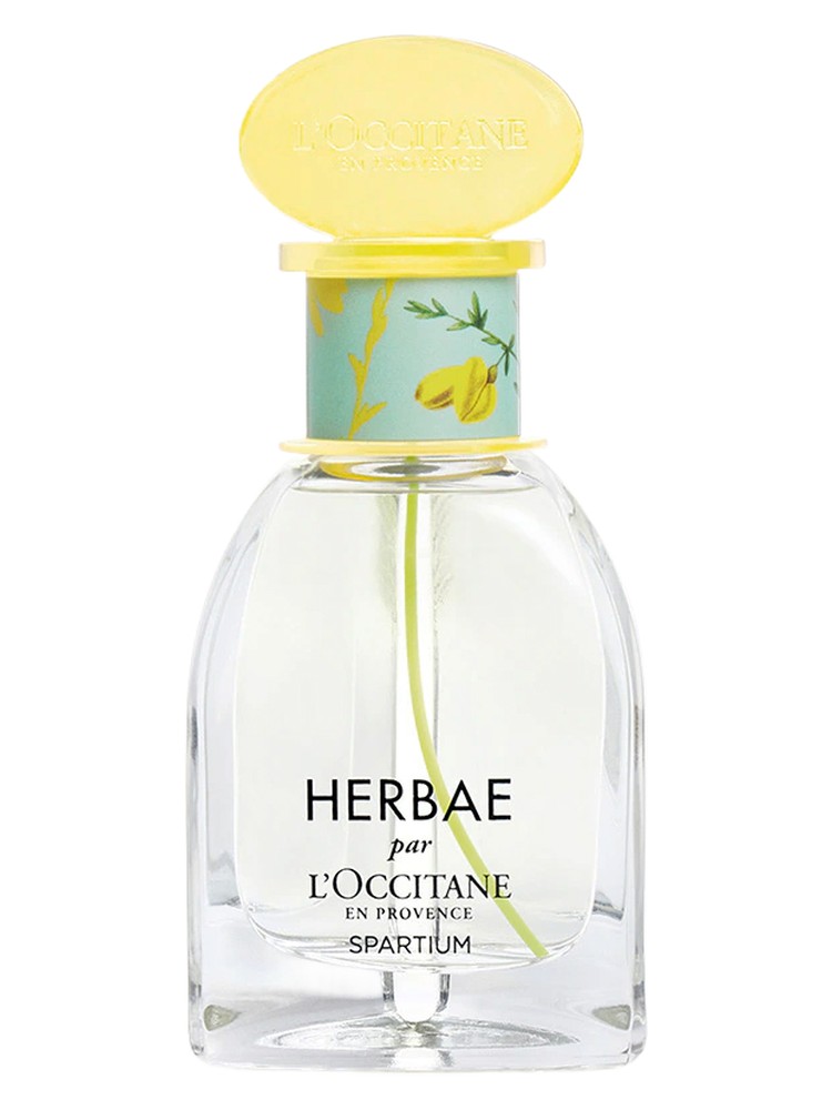Herbae Spartium